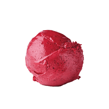 Solbærsorbet